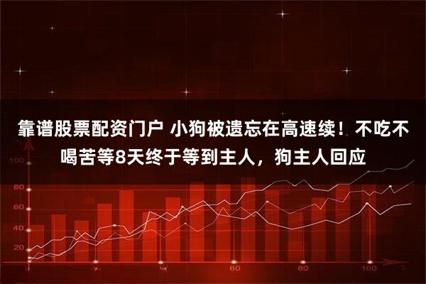 靠谱股票配资门户 小狗被遗忘在高速续！不吃不喝苦等8天终于等到主人，狗主人回应