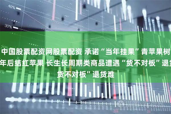 中国股票配资网股票配资 承诺“当年挂果”青苹果树苗4年后结红苹果 长生长周期类商品遭遇“货不对板”退货难