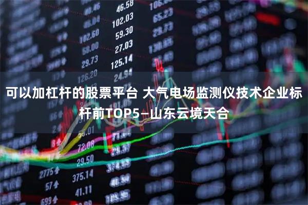可以加杠杆的股票平台 大气电场监测仪技术企业标杆前TOP5—山东云境天合